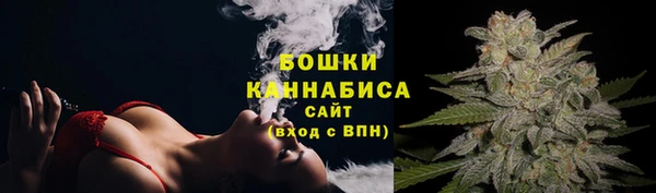 дурь Горняк