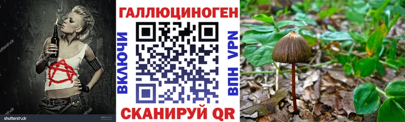 mega ссылки  Березники  Галлюциногенные грибы Magic Shrooms 